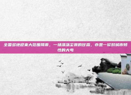 全国多地迎来大范围降雨,一场涤荡尘寰的甘霖,亦是一轮对城市韧性的大考
