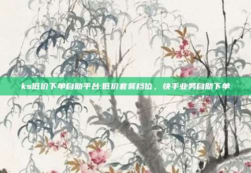 ks低价下单自助平台:低价套餐档位,快手业务自助下单