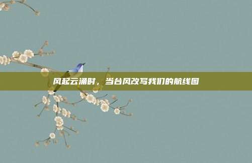 风起云涌时，当台风改写我们的航线图