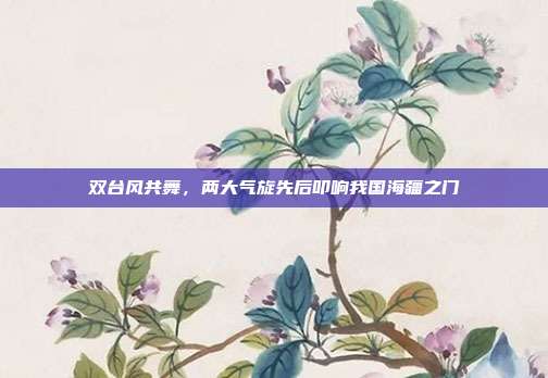 双台风共舞，两大气旋先后叩响我国海疆之门