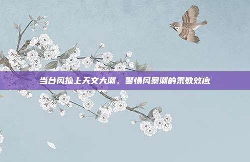 当台风撞上天文大潮，警惕风暴潮的乘数效应
