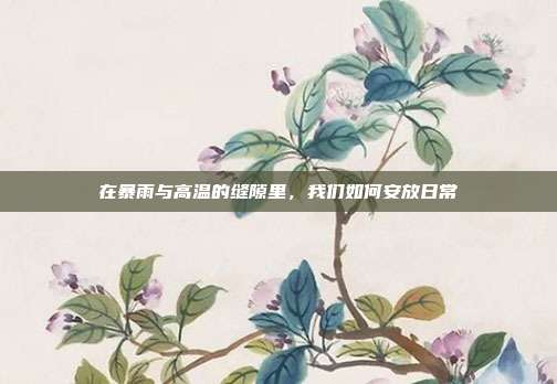 在暴雨与高温的缝隙里,我们如何安放日常