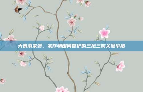 大暴雨来袭,农作物田间管护的三抢三防关键举措