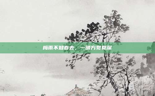 梅雨不知春去，一晴方觉夏深
