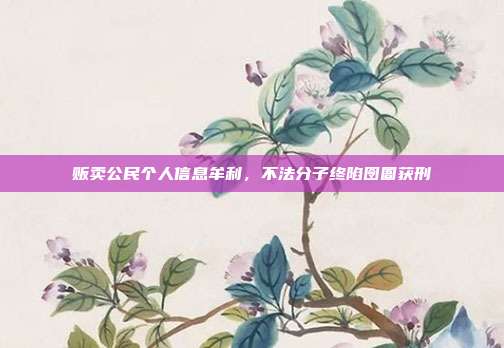贩卖公民个人信息牟利,不法分子终陷囹圄获刑
