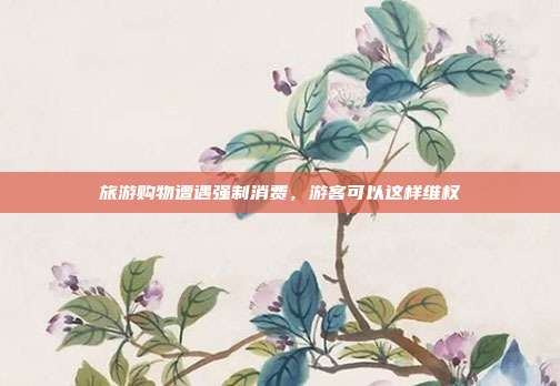 旅游购物遭遇强制消费,游客可以这样维权