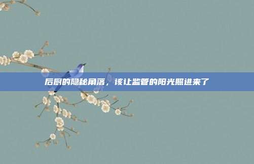 后厨的隐秘角落,该让监管的阳光照进来了