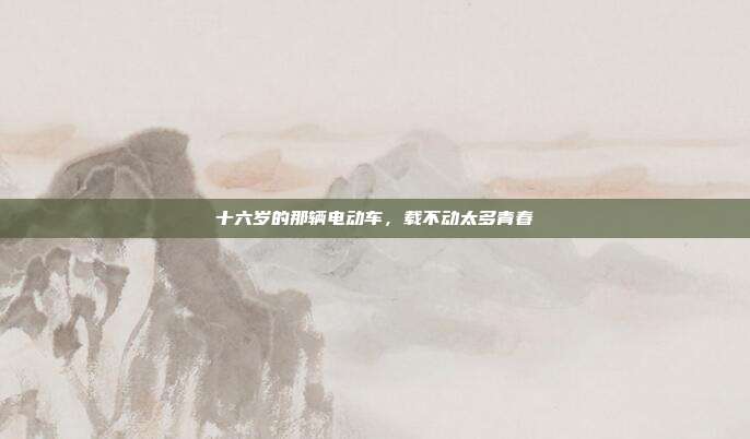 十六岁的那辆电动车，载不动太多青春
