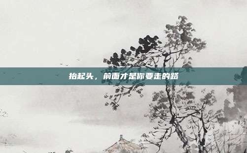 抬起头，前面才是你要走的路