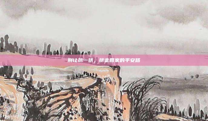 别让挤一挤，挤走回家的平安路