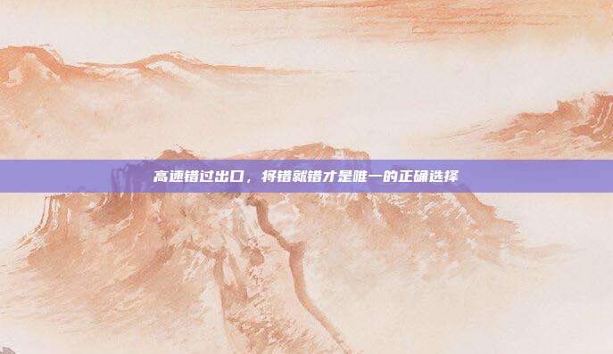 高速错过出口，将错就错才是唯一的正确选择