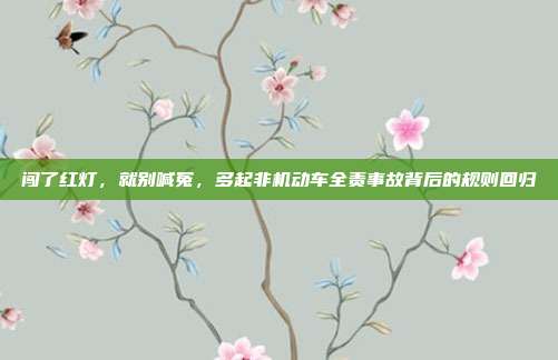 闯了红灯,就别喊冤,多起非机动车全责事故背后的规则回归
