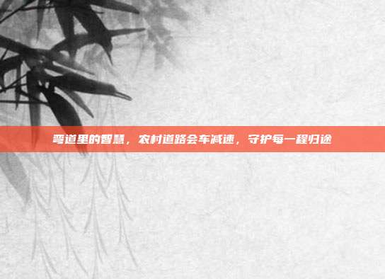 弯道里的智慧，农村道路会车减速，守护每一程归途
