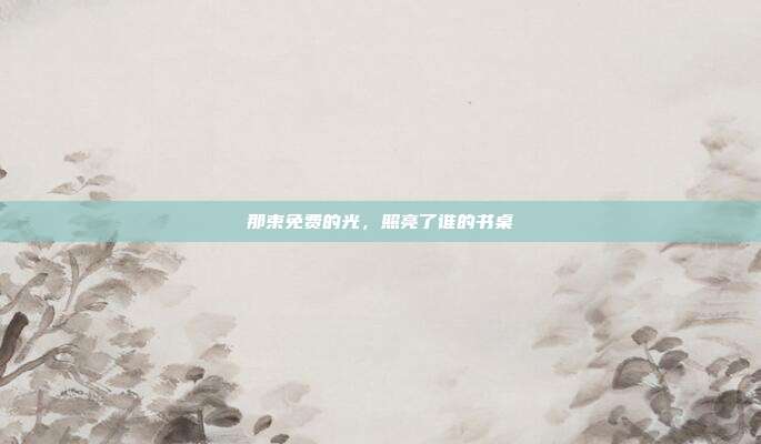 那束免费的光,照亮了谁的书桌