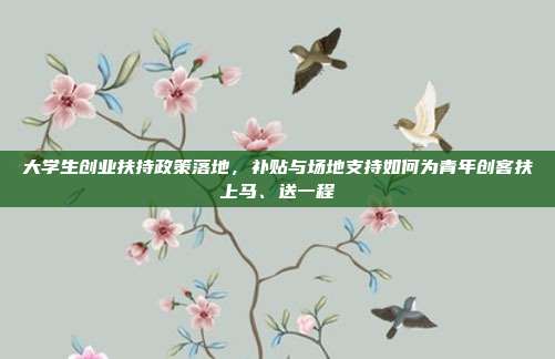 大学生创业扶持政策落地,补贴与场地支持如何为青年创客扶上马、送一程