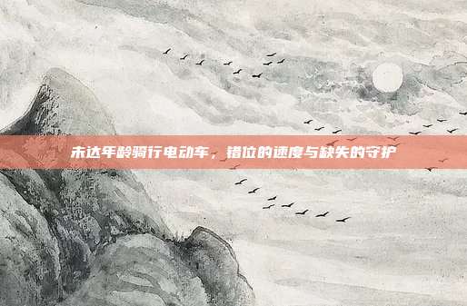 未达年龄骑行电动车,错位的速度与缺失的守护