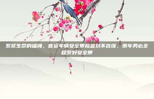 系紧生命的缰绳,客运车辆安全带检查刻不容缓,乘车务必全程系好安全带