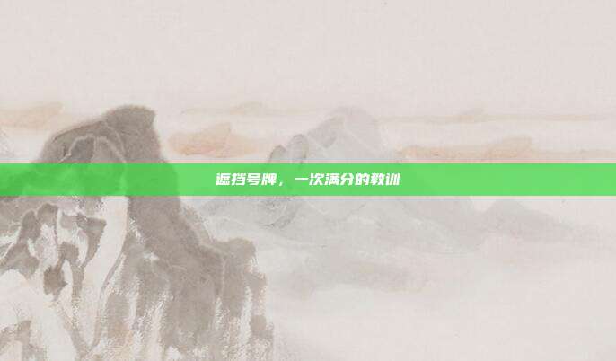 遮挡号牌,一次满分的教训