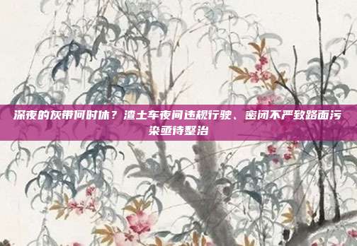 深夜的灰带何时休?渣土车夜间违规行驶、密闭不严致路面污染亟待整治