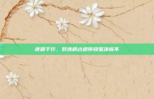 还路于行，对违规占道停放坚决说不