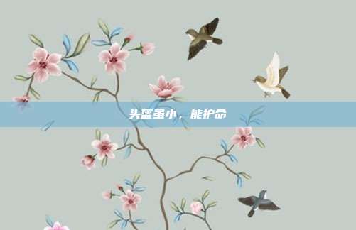 头盔虽小，能护命