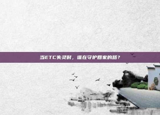 当ETC失灵时，谁在守护回家的路？