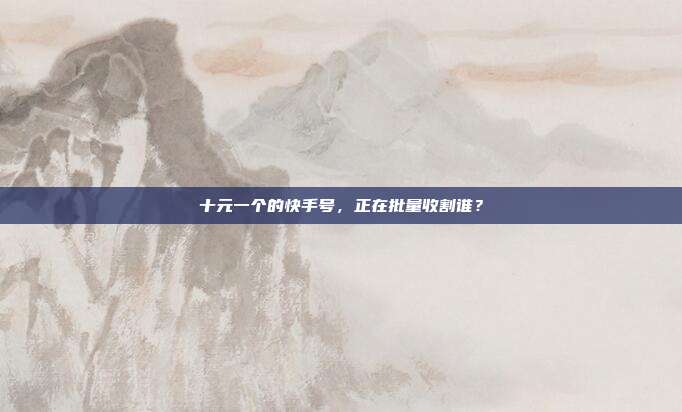 十元一个的快手号，正在批量收割谁？