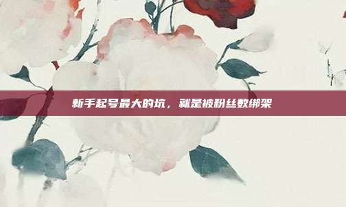 新手起号最大的坑,就是被粉丝数绑架