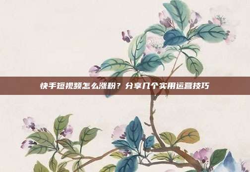 快手短视频怎么涨粉？分享几个实用运营技巧