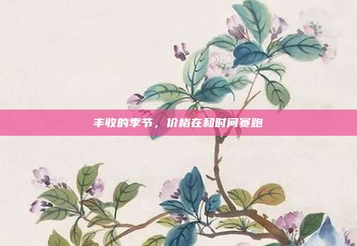 丰收的季节,价格在和时间赛跑