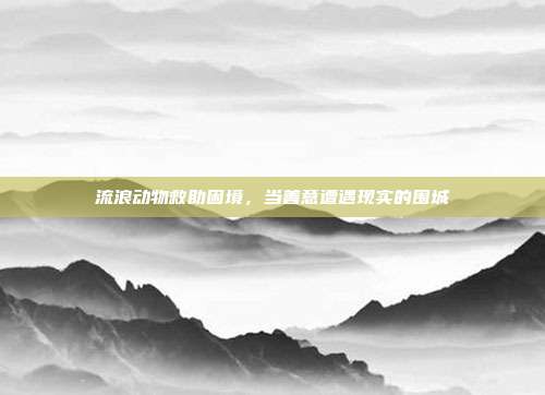 流浪动物救助困境，当善意遭遇现实的围城