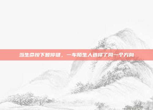 当生命按下暂停键,一车陌生人选择了同一个方向
