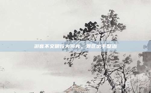 游客不文明行为曝光,景区出手整治