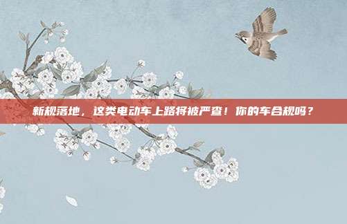 新规落地,这类电动车上路将被严查!你的车合规吗?