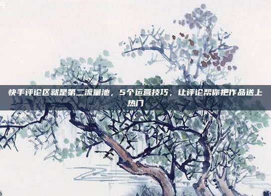 快手评论区就是第二流量池，5个运营技巧，让评论帮你把作品送上热门