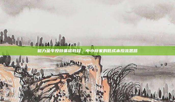 磁力金牛投放基础教程，中小商家的低成本投流思路