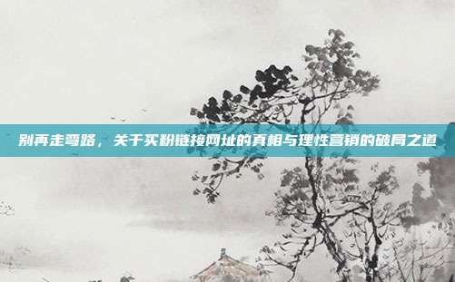 别再走弯路,关于买粉链接网址的真相与理性营销的破局之道