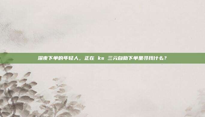 深夜下单的年轻人,正在 ks 三元自助下单里寻找什么?