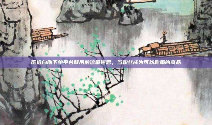 低价自助下单平台背后的流量迷思，当粉丝成为可以称重的商品