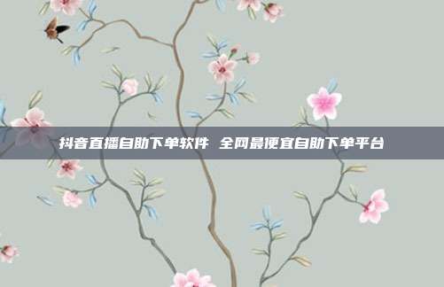 抖音直播自助下单软件 全网最便宜自助下单平台