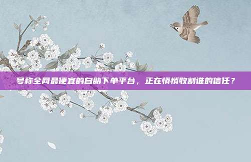 号称全网最便宜的自助下单平台，正在悄悄收割谁的信任？