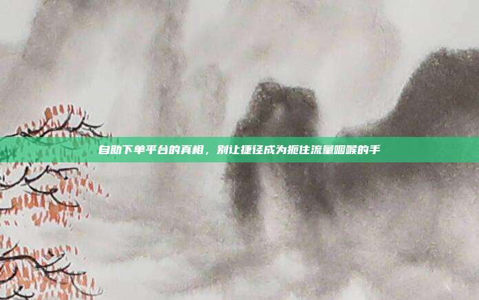 自助下单平台的真相,别让捷径成为扼住流量咽喉的手