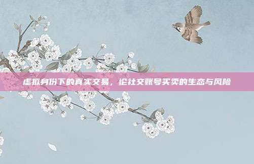 虚拟身份下的真实交易，论社交账号买卖的生态与风险