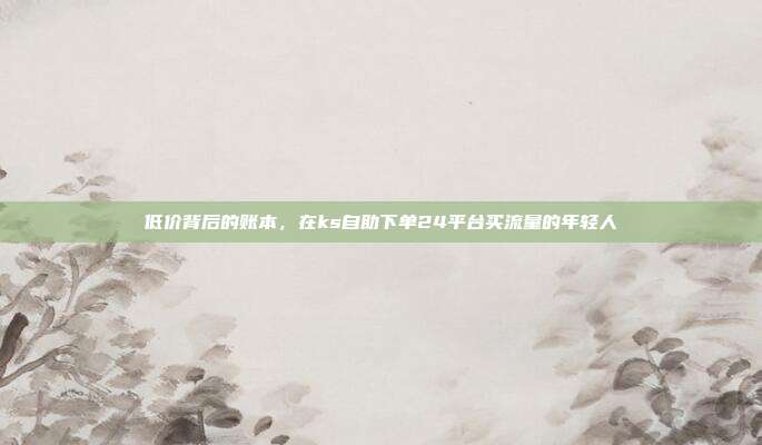 低价背后的账本，在ks自助下单24平台买流量的年轻人