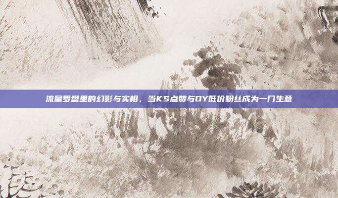 流量罗盘里的幻影与实相,当KS点赞与DY低价粉丝成为一门生意