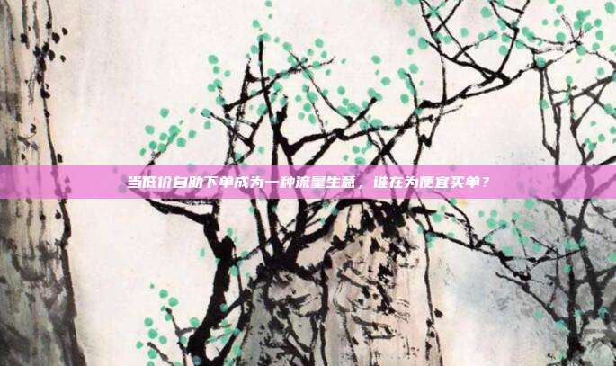 当低价自助下单成为一种流量生意，谁在为便宜买单？