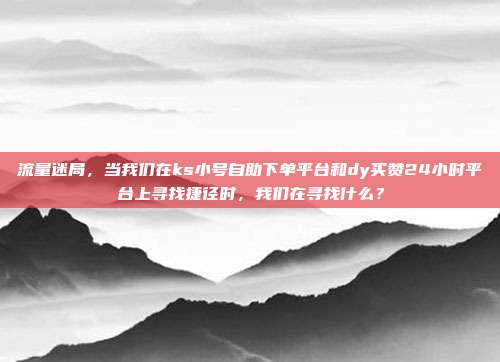 流量迷局,当我们在ks小号自助下单平台和dy买赞24小时平台上寻找捷径时,我们在寻找什么?