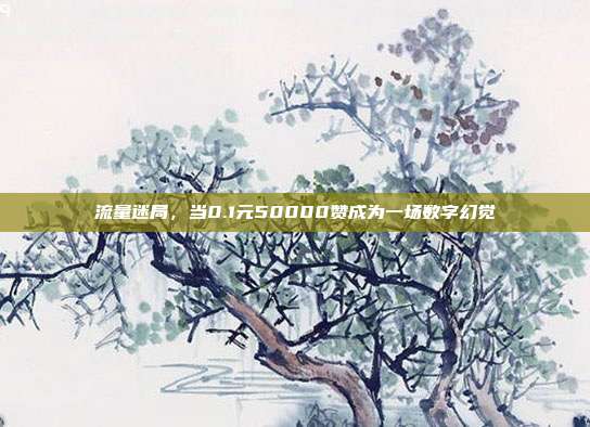 流量迷局,当0.1元50000赞成为一场数字幻觉