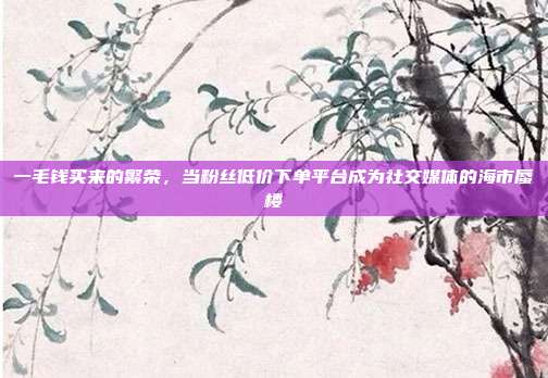 一毛钱买来的繁荣,当粉丝低价下单平台成为社交媒体的海市蜃楼