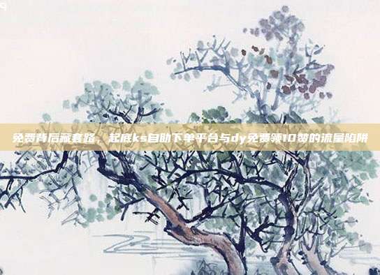 免费背后藏套路,起底ks自助下单平台与dy免费领10赞的流量陷阱